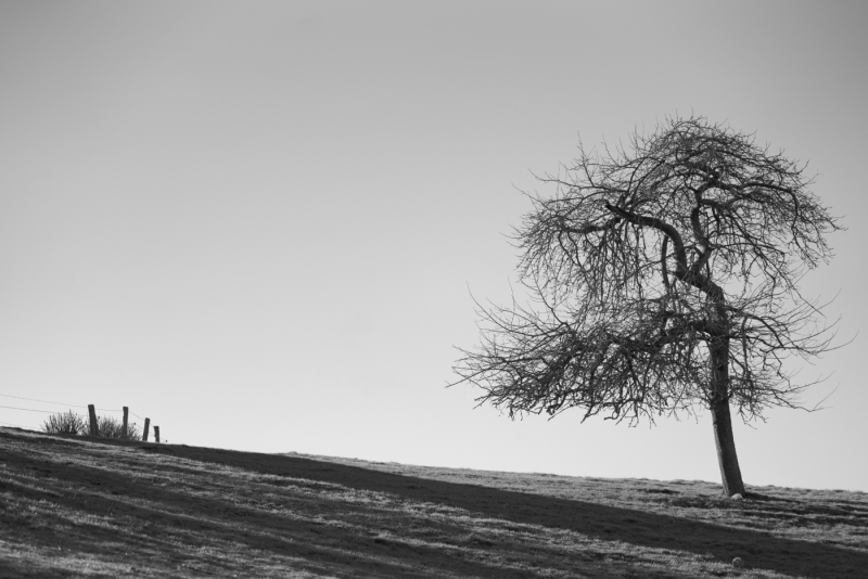 ]Begegnung[