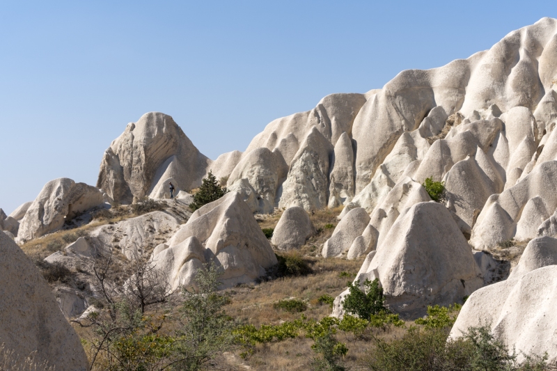 ]Honey Valley[