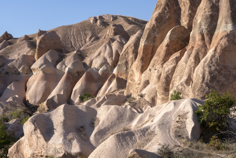 ]Rose Valley[